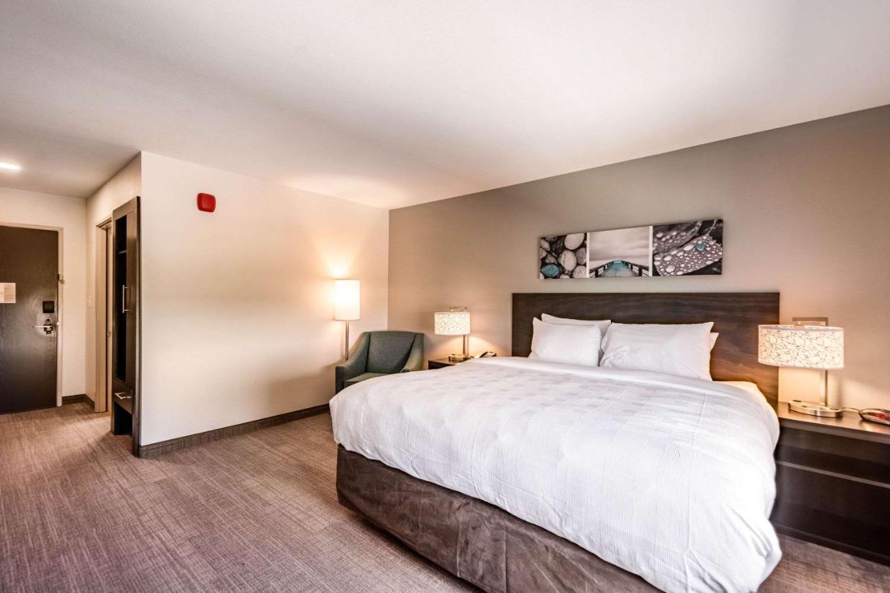 Mainstay Suites Sarasota I-75 Fruitville Zewnętrze zdjęcie